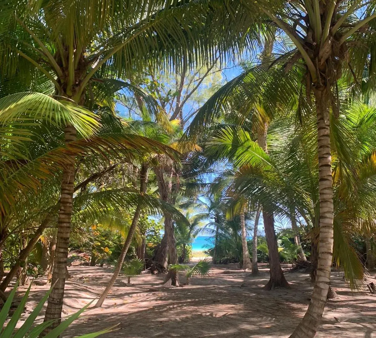Casa Airam Beachfront Villa In Sian Kaan Tulum